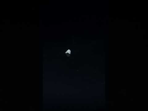 YouTube 썸네일