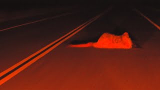 元カノを殺した帰り道が怖すぎた – | ホラーショート映画 – ハザード・ライト