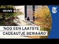 'Terrorvogel' hield huis in Bladel