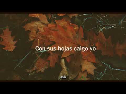 Sol Flamingo ft. Sebastian Romero - Otoño // Letra