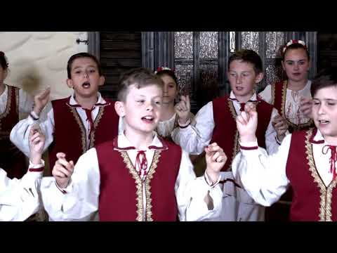 Ansamblul Romanasul Zadareni - Dans Valea Crisului