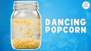 Dancing Popcorn Experiment | Fun & Easy Dancing Corn Science for Kids