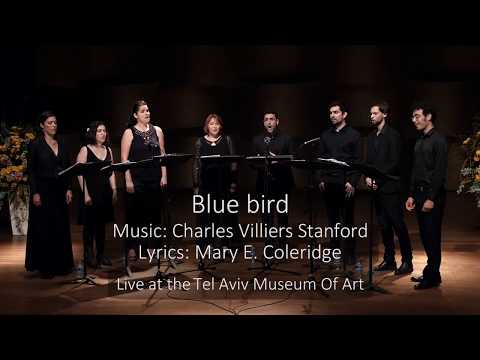 Cecilia Ensemble - Blue Bird
