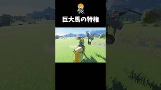 ボコブリンとサッカーを楽しむ英傑 #shorts  #ゼルダの伝説ティアーズオブザキングダム #ティアキン