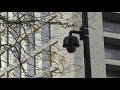 Cameratoezicht in centrumgebied Almere Buiten blijft