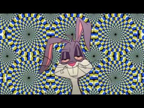 Fox Man Feat La FLeSH & Youl - The Performance