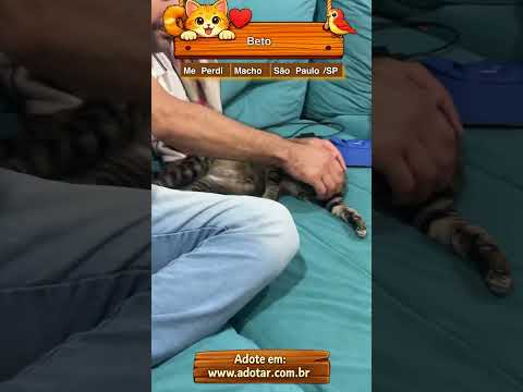 Vídeo de Beto