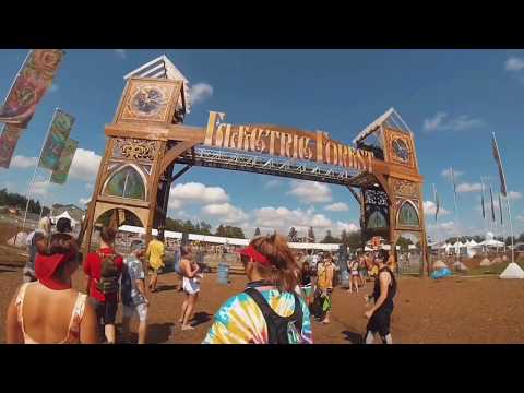 A Walk Through Electric Forest