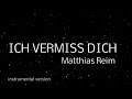 Matthias Reim Ich Vermiss Dich Instrumental Mit Melodie Lyrics Text 4k