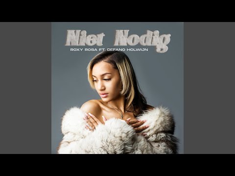 Niet Nodig (feat. Defano Holwijn)