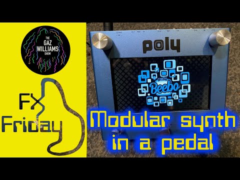 FXFriday - Poly Beebo first look