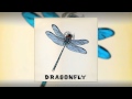 Dragonfly - Portrait of Youth (06)