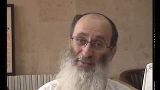 הרב קוק על ספרדים ואשכנזים (מאמר "לשני בתי ישראל") – הרב אורי שרקי