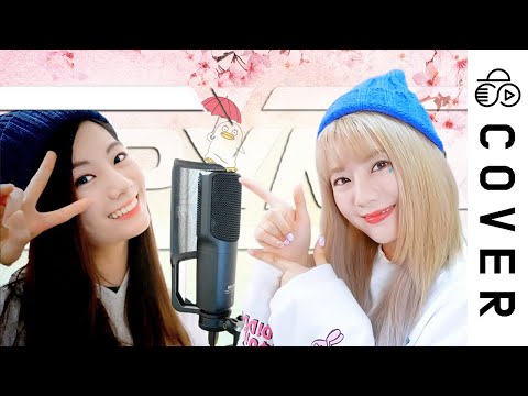 SPYAIR / Some Like It Hot!! (サムライハート)┃Cover by Raon Lee