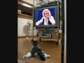 Michel Polnareff " Viens te faire chahuter "