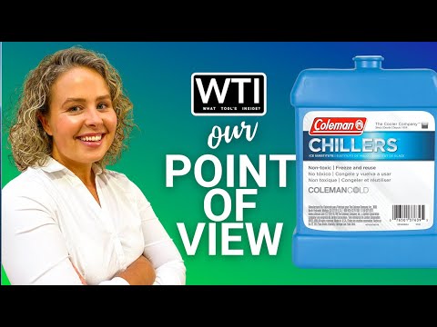 Our Point of View on Coleman Small Ice Hard Packs From Amazon