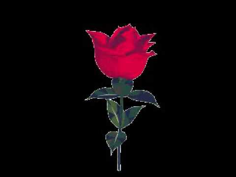 Lishkare tere koke de