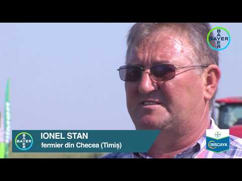 Bayer - Testimonial IONEL STAN - BISCAYA la cultura de rapita