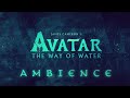 Avatar The Way Of Water Ambient Soundscape