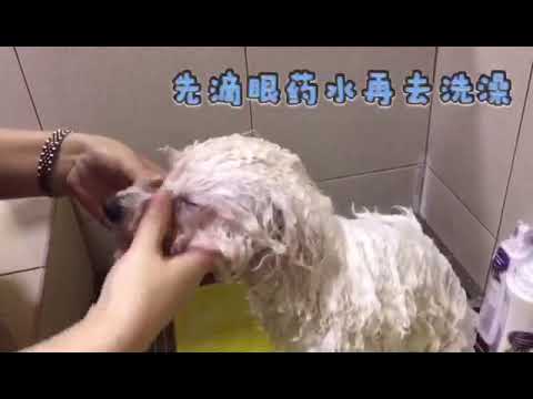 洗澡全过程 - 第三段