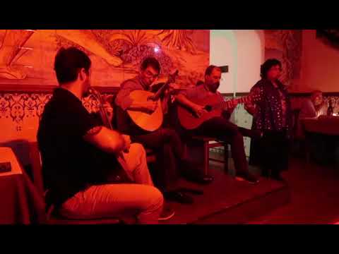 Manuela Cavaco - O Vento