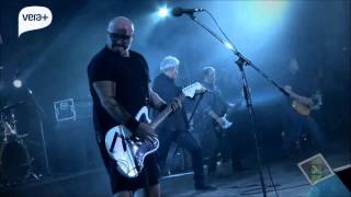 El cazador - Buitres 25 años