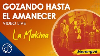 Gozando Hasta Amanecer Lyrics English Translation