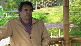 Video Proyecto Guadua BID   Fomin