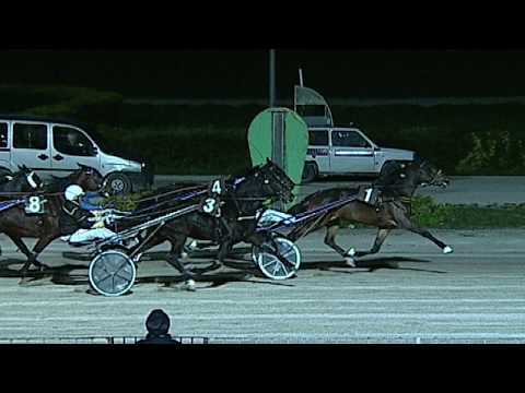 Aversa trotto 4 Dicembre 2019 - 7° Corsa Premio U. PAPPADIA