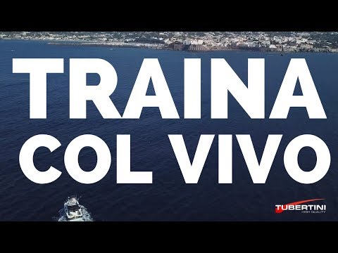 TUBERTINI FISHING - Ischia - TRAINA alla RICCIOLA