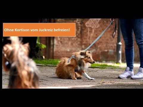 Gebete der Osteochondrose Während der Schwangerschaft wund im Lendenbereich rechts zurück