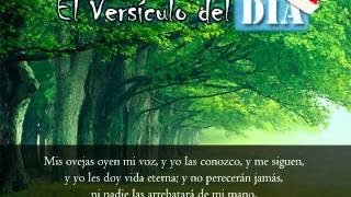 Miniatura del video: El versiculo del dia .com - Juan 10 v27-28