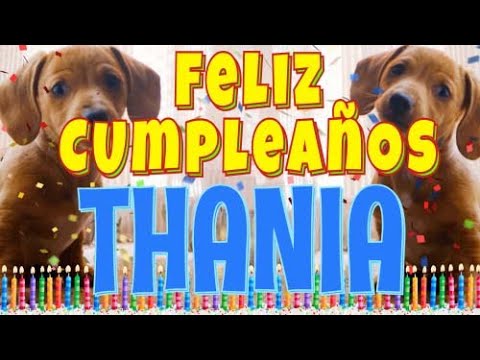 ¡Feliz Cumpleaños Thania! (Perros hablando gracioso) ¡Muchas Felicidades Thania!