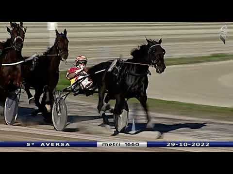 Aversa trotto 29 Ottobre 2022 - 5° Corsa