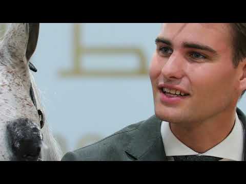 FLAXMAN ARABIANS - 2023 All Nations Cup