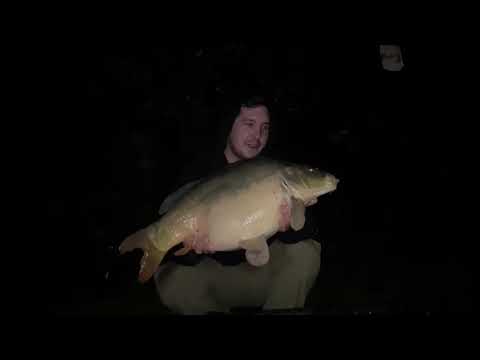 DreamBaits - Test, Fische, Drills uvm.