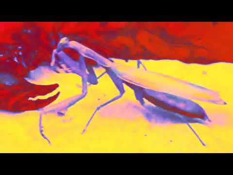 VUHwex - Life on Planet Sertraline (Music Video Visualization)