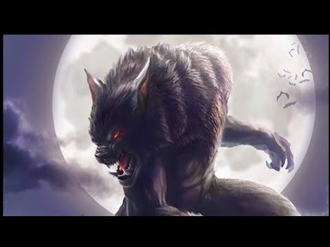 NON DIVENTARE UN LICANTROPO (SCP 3817) Giaknite scp #20