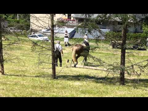 Formanský den 7. 6. 2014.  Bystřec