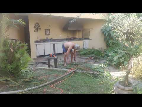 Domingo de descanso - Dudu França*