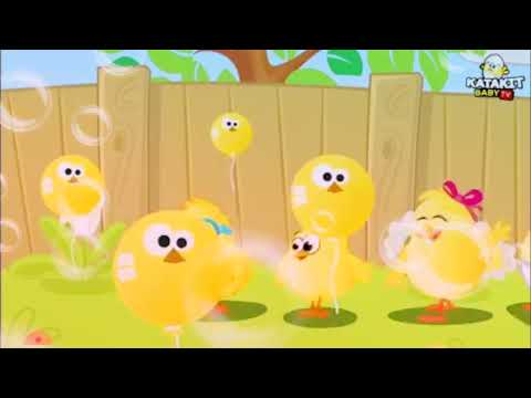 hal Sisan sho Hiloun English