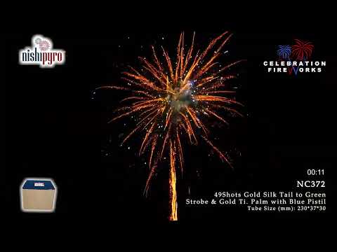 NC372   Gold Palm Beach