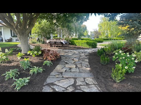 Planting a Shade Garden with SO Many Gorgeous Plants! 🌿😎💚 // Garden Answer