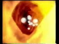 ORGANICS 33s USA 1997 Tvc