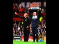Vom Vorton - Cat on the Pitch 
