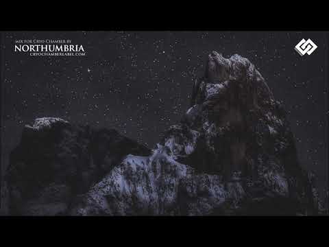 Dark Winter Ambient [1 hour mix]