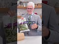 Gundry MD's Trader Joe's Pick: Fall in Love with Cruciferous Crunch! 🥦🥗