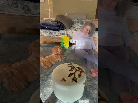 Me and my dog are at it all weekend! #thanksgiving #weekendvibes