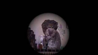 feist lonely lonely with bernie