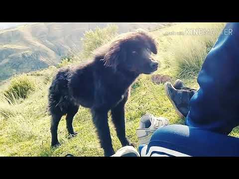 oceanos (COVER_VERSION QUICHWA-quechua)